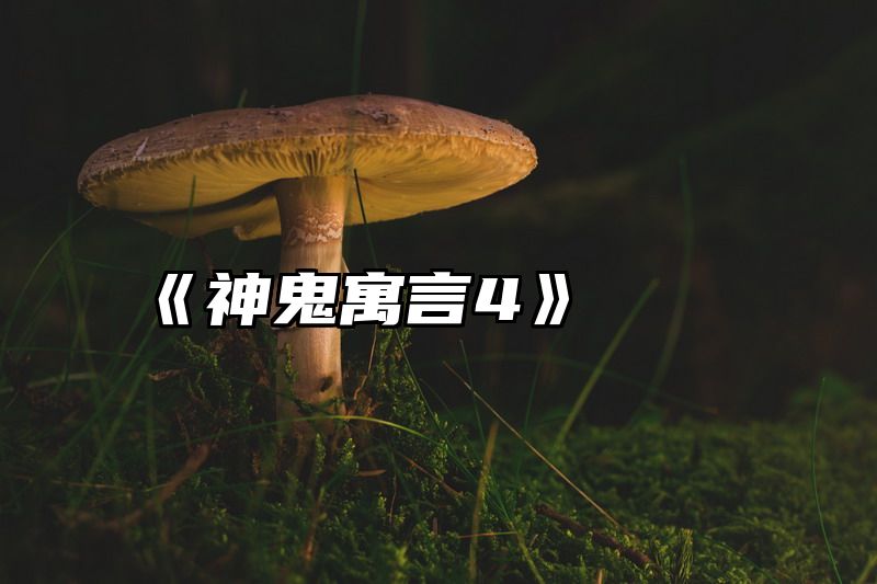 点击查看《《神鬼寓言4》》全文