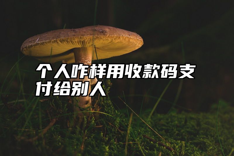 个人咋样用收款码支付给别人
