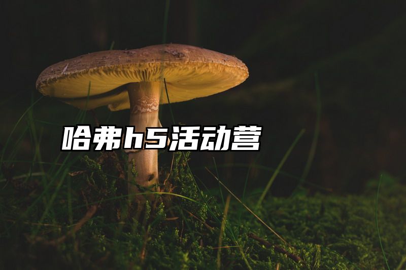 哈弗h5活动营
