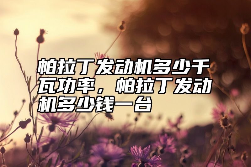 帕拉丁发动机多少千瓦功率，帕拉丁发动机多少钱一台