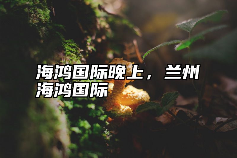 海鸿国际晚上，兰州海鸿国际