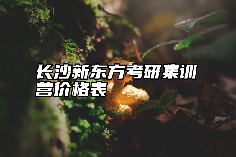 长沙新东方考研集训营价格表
