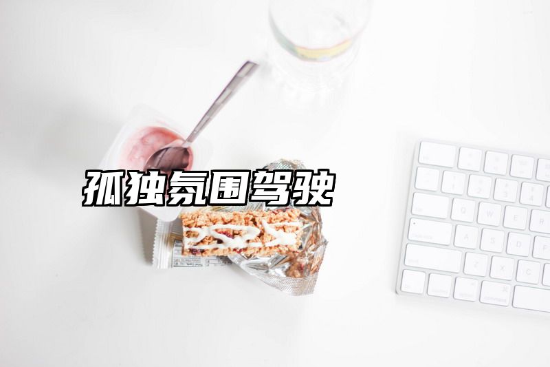孤独氛围驾驶