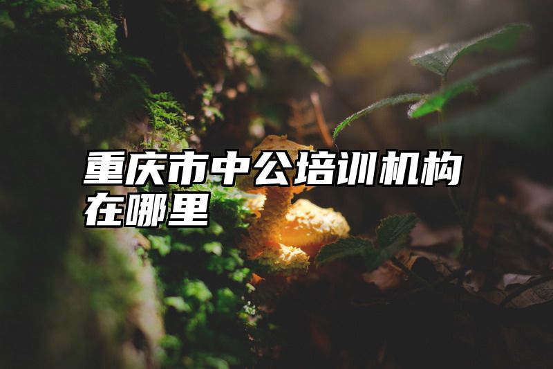 重庆市中公培训机构在哪里