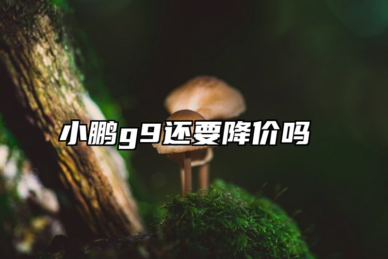 小鹏g9还要降价吗