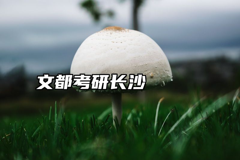 文都考研长沙