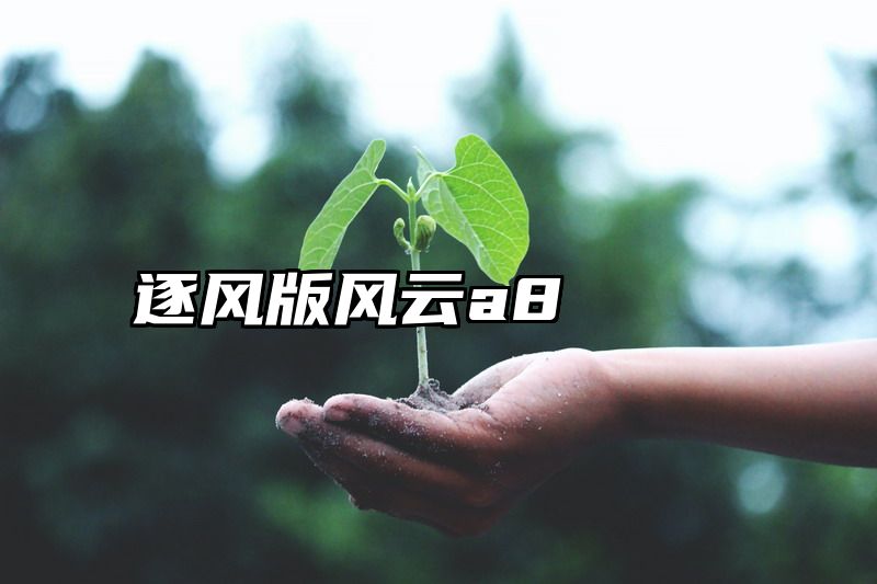 逐风版风云a8