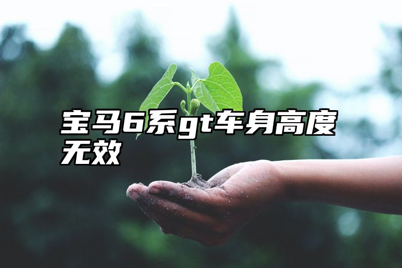宝马6系gt车身高度无效