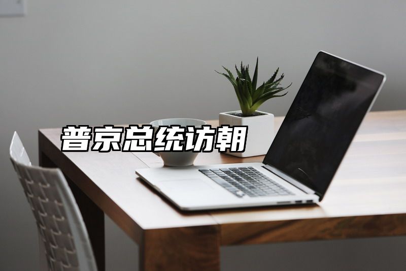 普京总统访朝