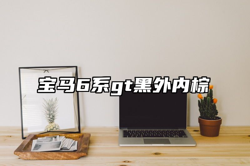 宝马6系gt黑外内棕