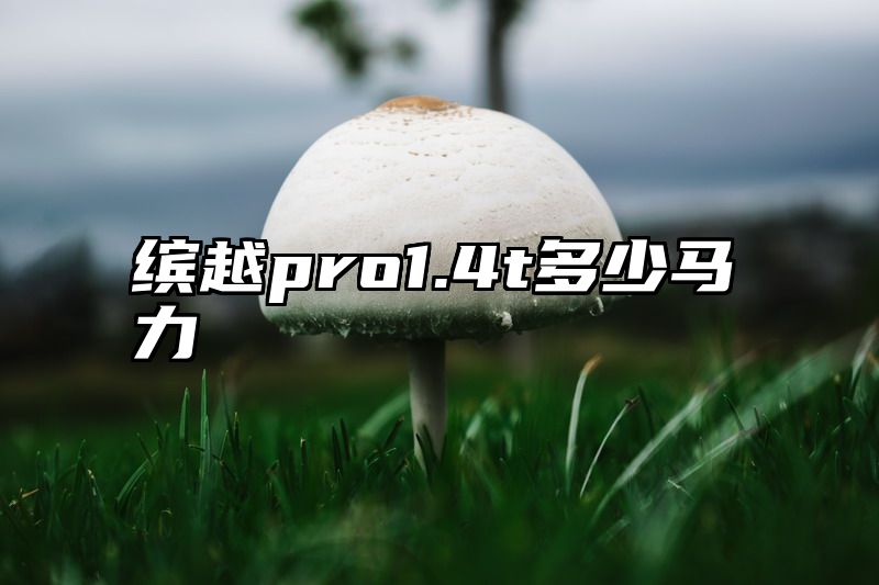缤越pro1.4t多少马力