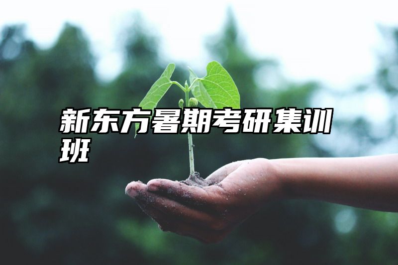 新东方暑期考研集训班