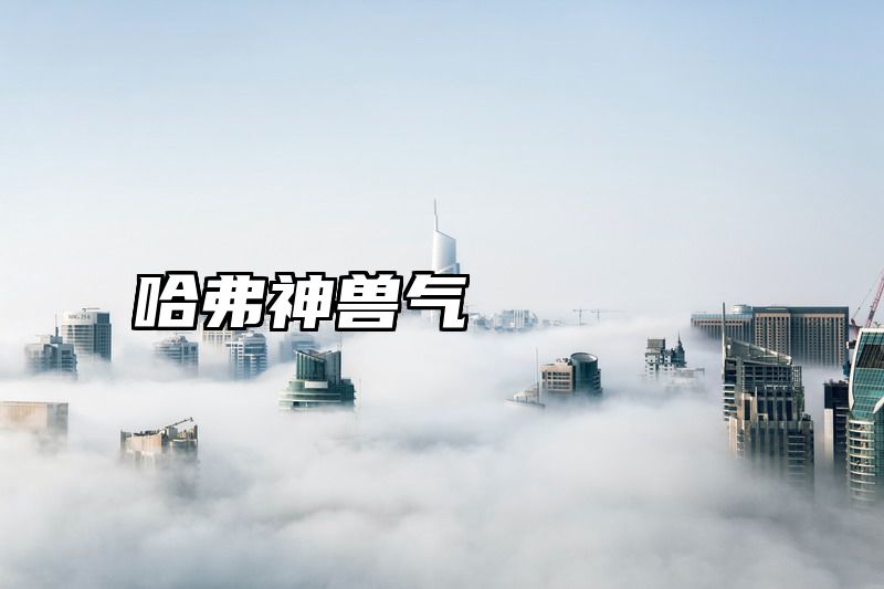 哈弗神兽气