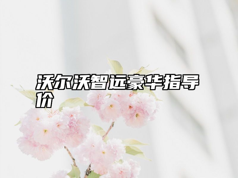 沃尔沃智远豪华指导价