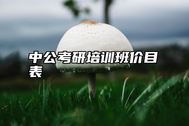 中公考研培训班价目表