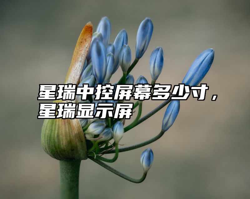 星瑞中控屏幕多少寸，星瑞显示屏