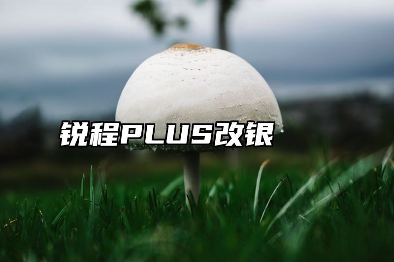 锐程PLUS改银