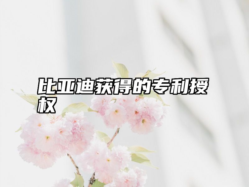 比亚迪获得的专利授权