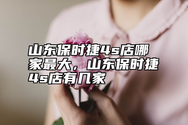 山东保时捷4s店哪家最大，山东保时捷4s店有几家