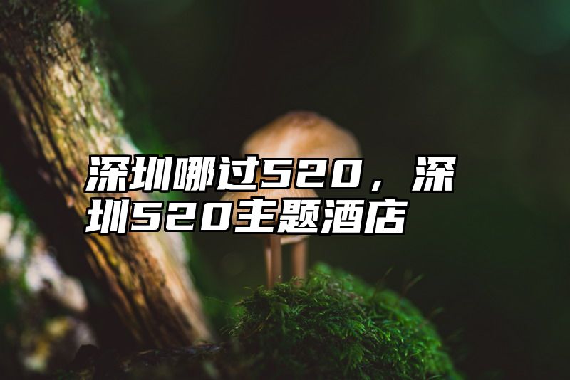 深圳哪过520，深圳520主题酒店