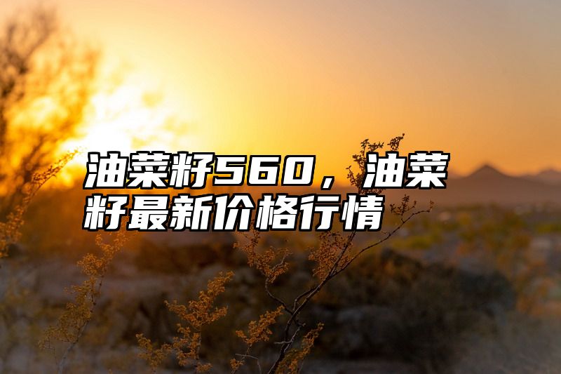 油菜籽560，油菜籽最新价格行情