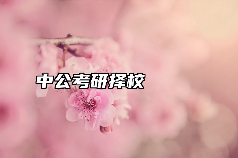中公考研择校