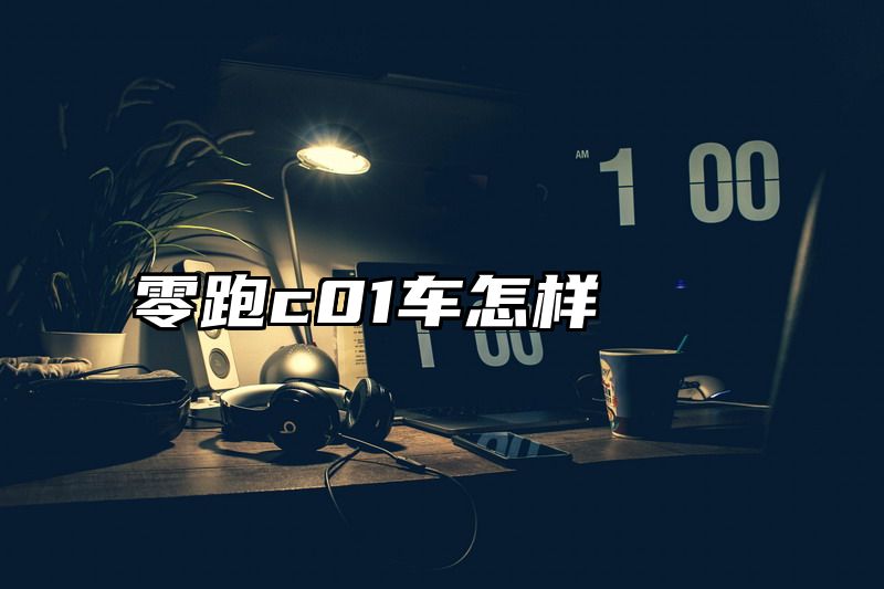 零跑c01车怎样