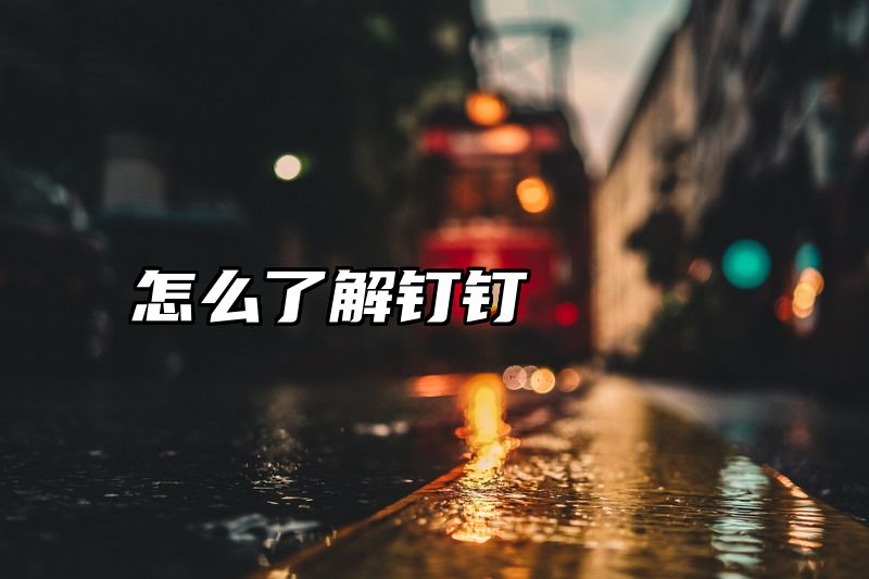 怎么了解钉钉