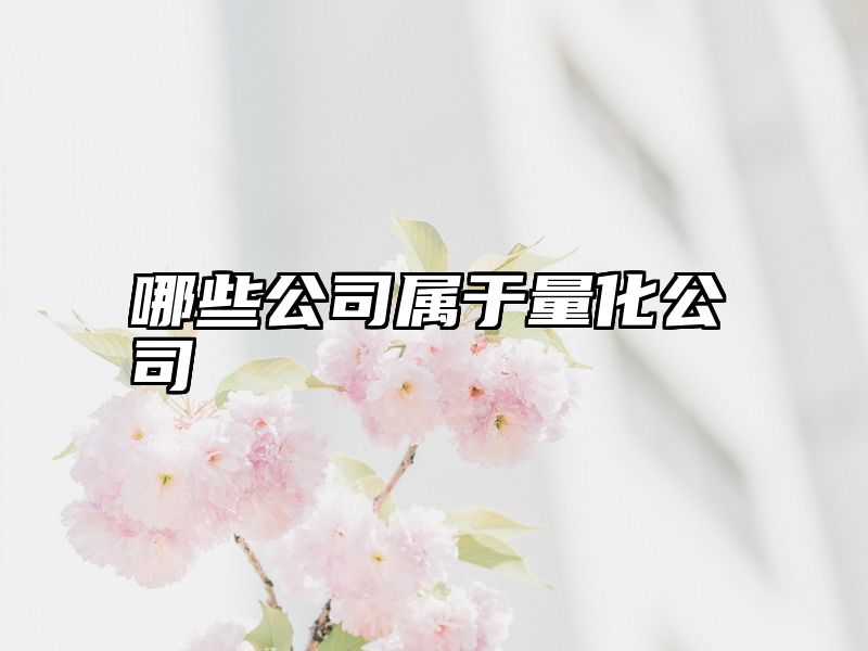 哪些公司属于量化公司