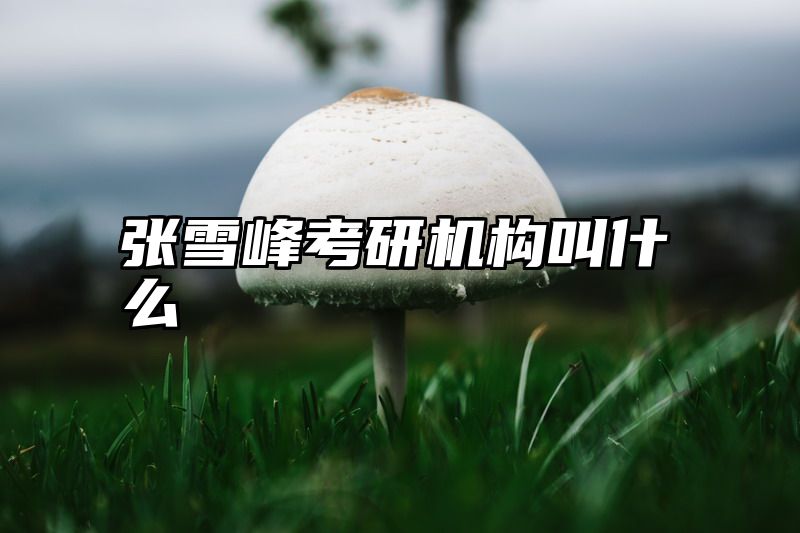 张雪峰考研机构叫什么