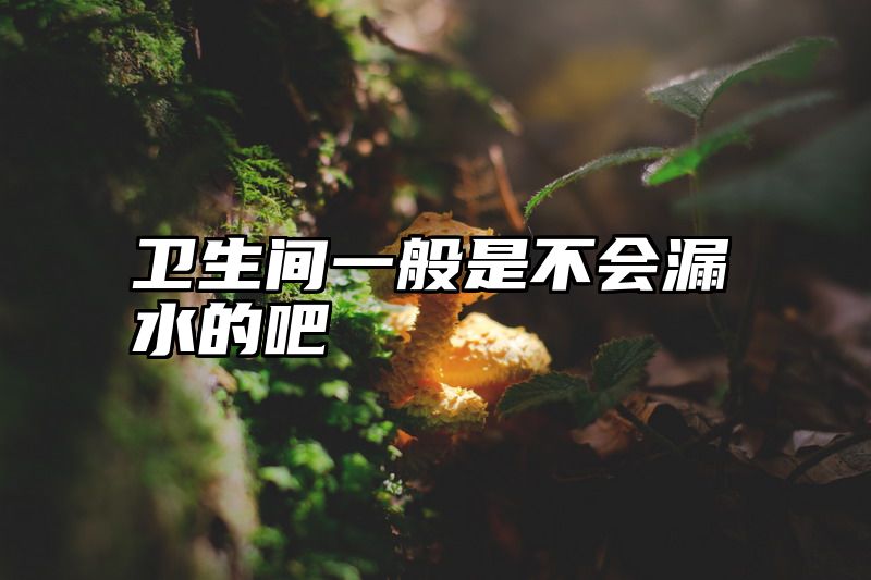 卫生间一般是不会漏水的吧