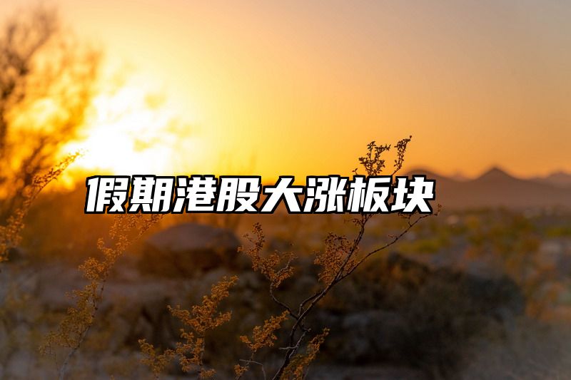 假期港股大涨板块
