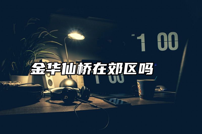 点击查看《金华仙桥在郊区吗》全文