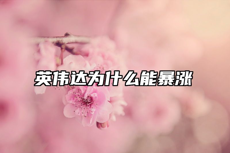 英伟达为什么能暴涨