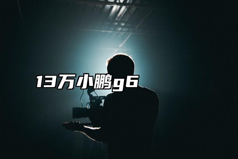 13万小鹏g6