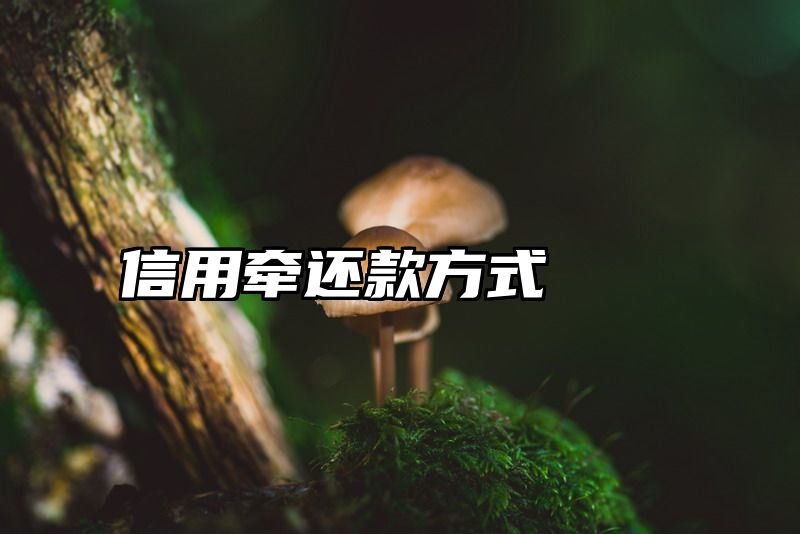 信用牵还款方式