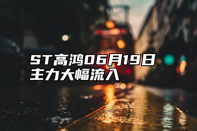 ST高鸿06月19日主力大幅流入