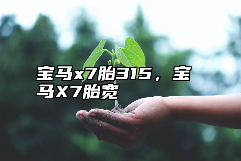 宝马x7胎315，宝马X7胎宽