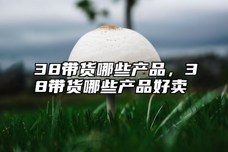 38带货哪些产品，38带货哪些产品好卖