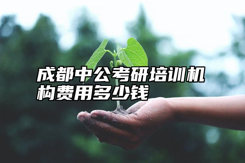 成都中公考研培训机构费用多少钱