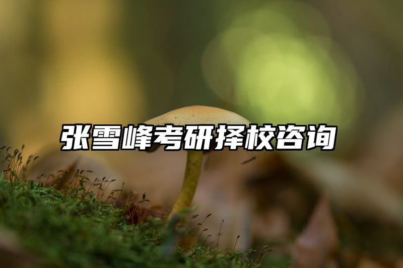 张雪峰考研择校咨询