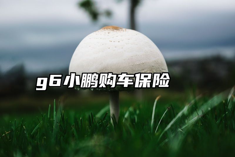 g6小鹏购车保险
