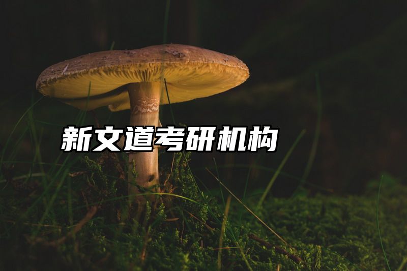 新文道考研机构