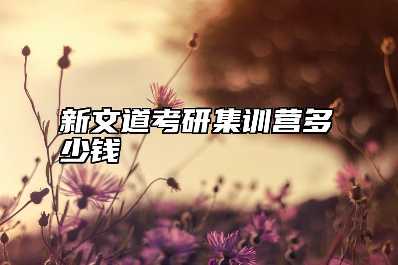 新文道考研集训营多少钱