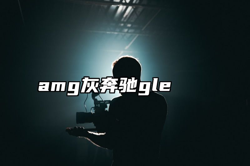 amg灰奔驰gle
