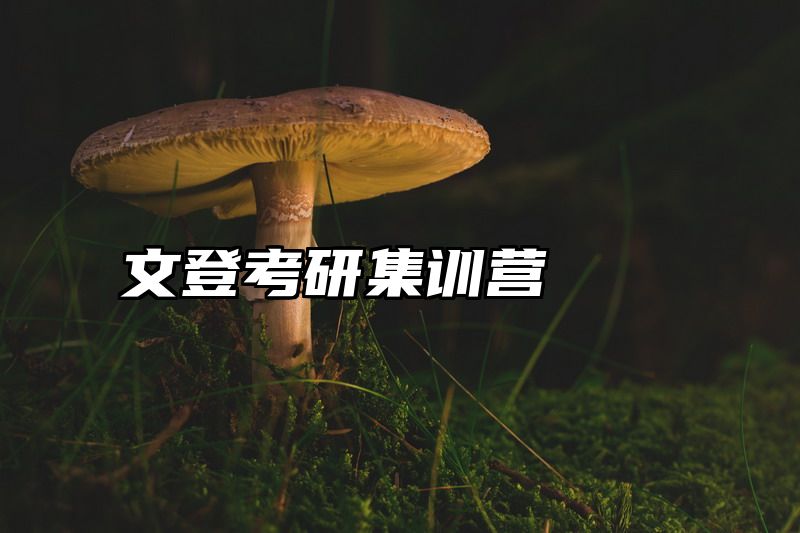 文登考研集训营