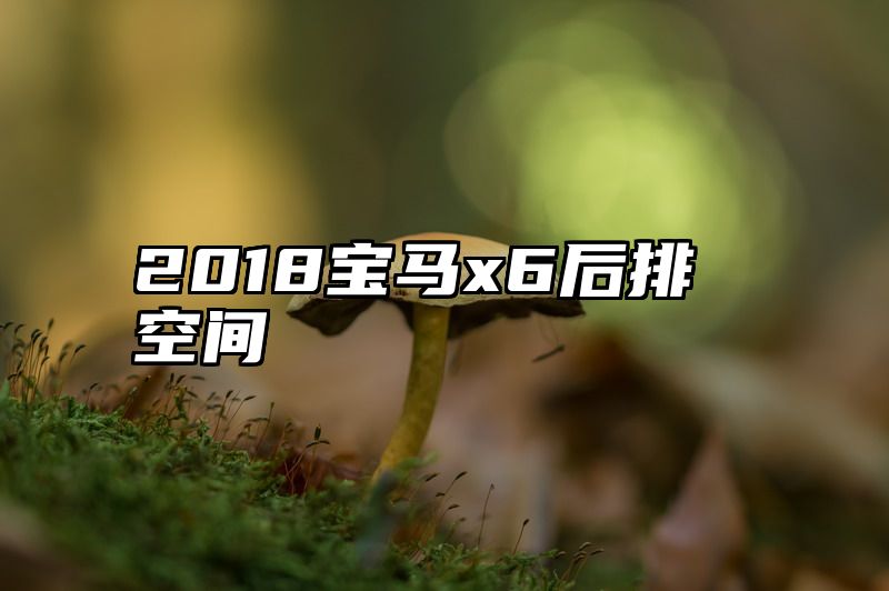 2018宝马x6后排空间