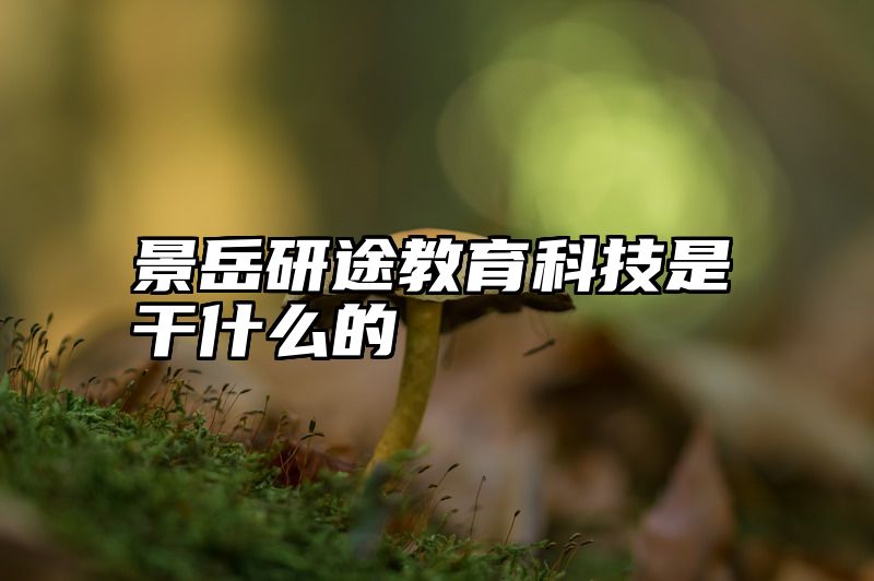 景岳研途教育科技是干什么的