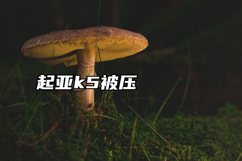 起亚k5被压
