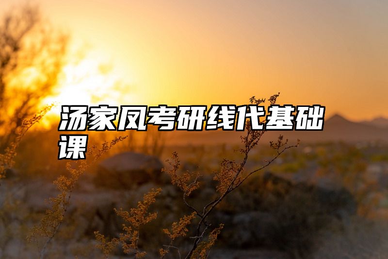 汤家凤考研线代基础课